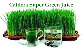 Organic Raw Green Juice img-responsive
