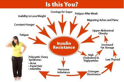 The insulin resistance cycle causing weight gain and obesity