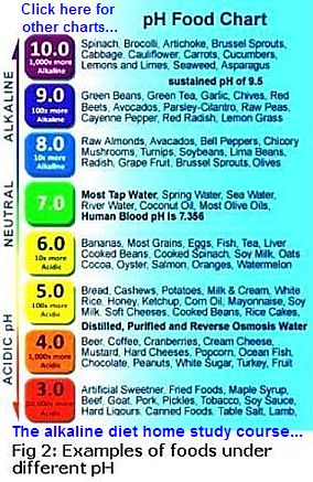 Balancing the Body's Acid-Alkaline pH