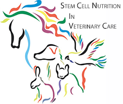 Stem cell therapy in veterinary care