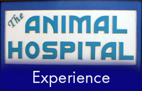 Pet Hospital