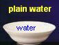 Bowl of plain water