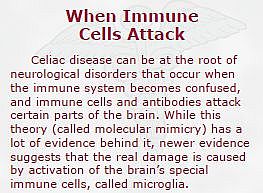 When immune cells attack