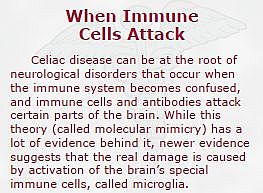 When immune cells attack