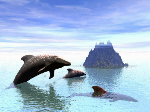 Whales feeding on plankton