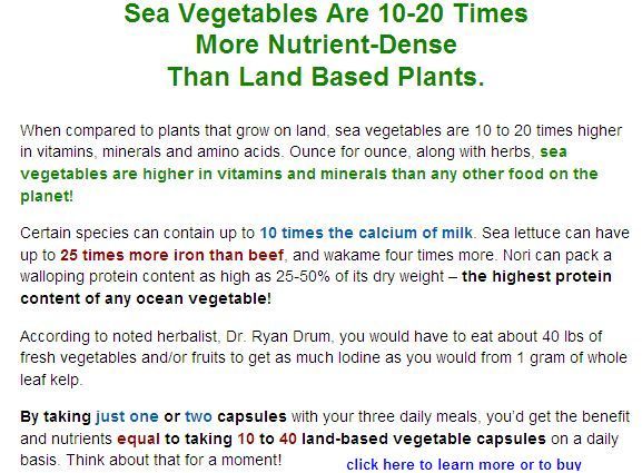 Sea vegetable in diet supplementation