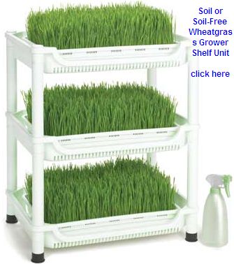 Wheat grass grower's shelf