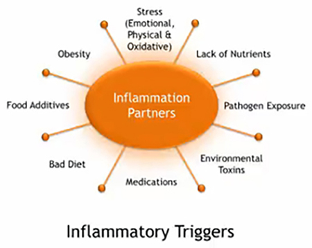 Food Ingredients causing Pain, Inflammation and immune dysfunction