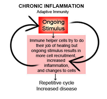 Compromised Immune System cause Chronic inflammation