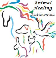 Animal Healing Testimonials